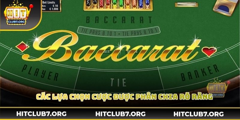 Các lựa chọn cược được phân chia rõ ràng tránh nhầm lẫn