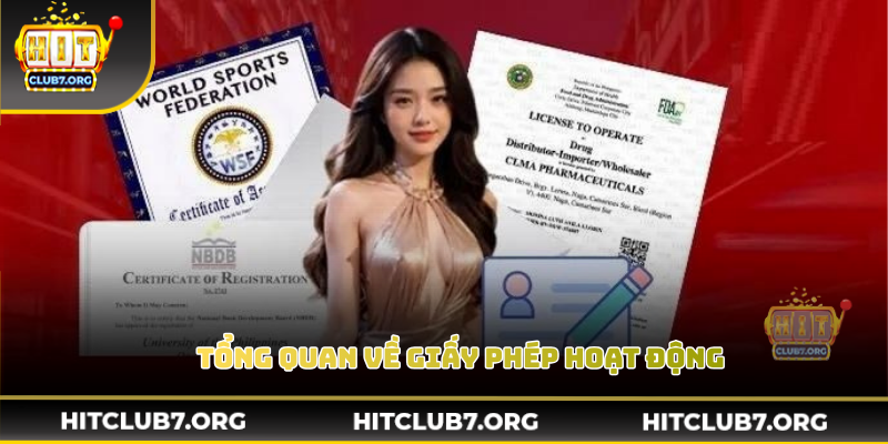 Thông tin giấy phép được trình bày minh bạch theo từng hạng mục