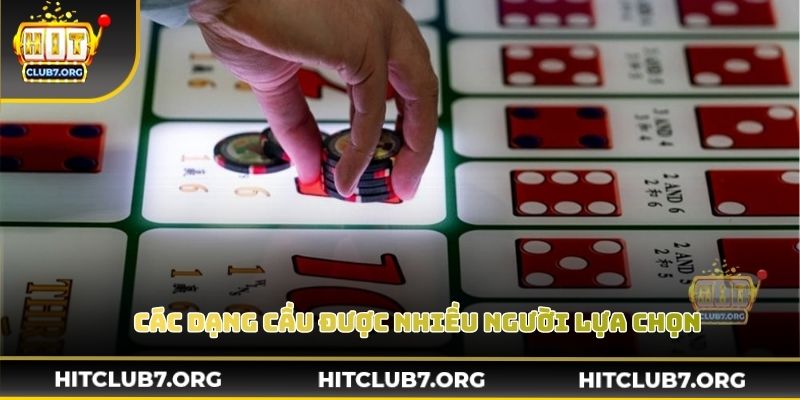 Các dạng cầu thường gặp được nhiều người lựa chọn