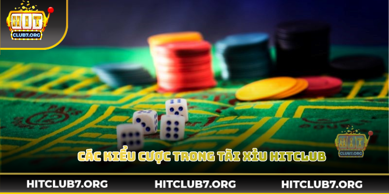 Các kiểu cược thường gặp trong tài xỉu cho người mới